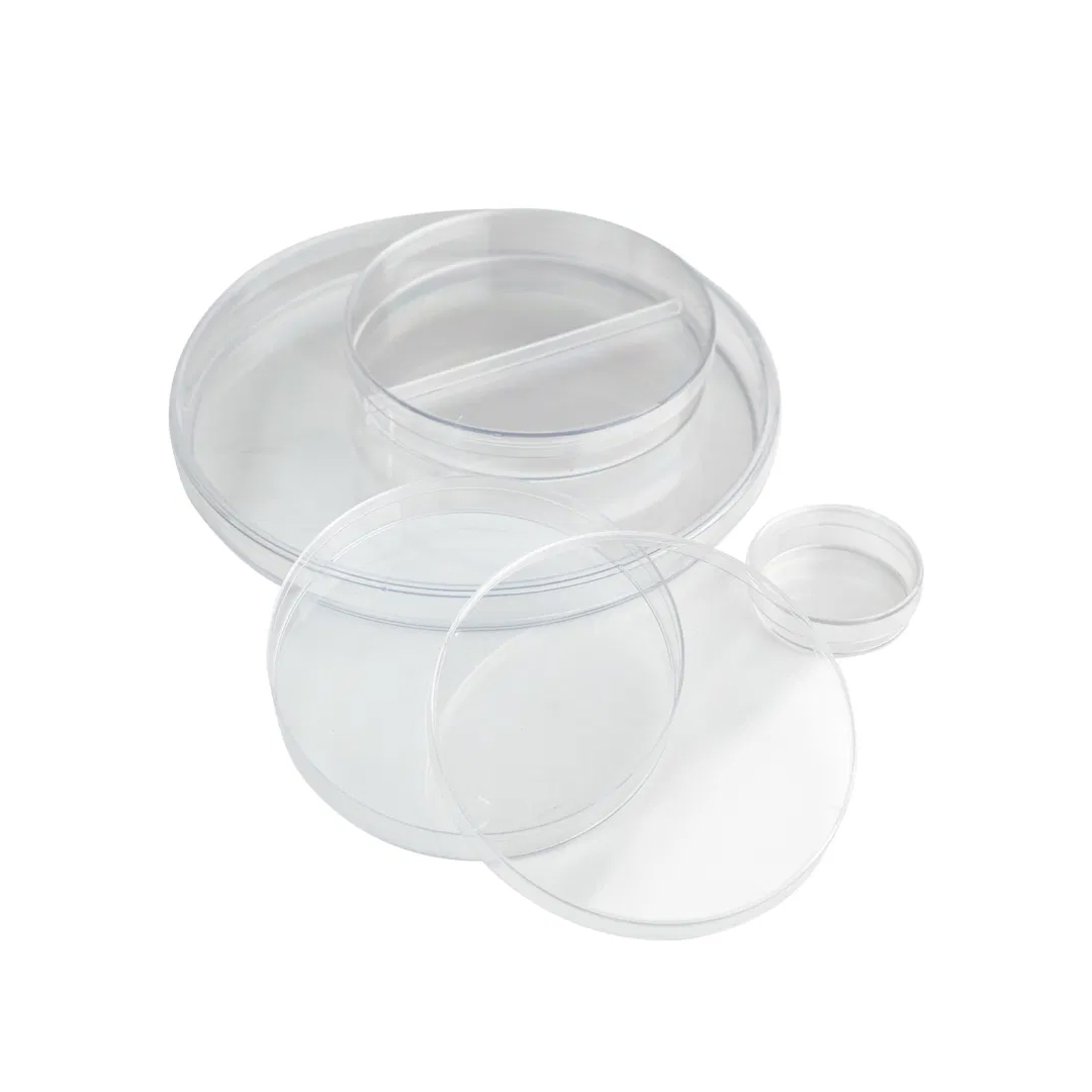 Petri Dish 1 Room available in online  pharmacy qatar, doha 